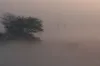 চরম দুঃসংবাদ, জানুয়ারিতে,,,,,,,,,,,,