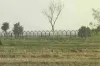 ভারত-বাংলাদেশ সীমান্তে বেড়া নিয়ে উত্তেজনার পর এবার গু লি.......