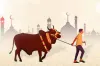 ঈদুল আজহার সম্ভাব্য তারিখ প্রকাশ