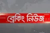 ১০ মিনিটের শক্তিশালী বৈশাখী ঝড়ে লণ্ডভণ্ড যে উপজেলা