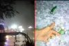 কয়েক মিনিটের কালবৈশাখীতে লন্ডভন্ড পুরো জেলা, ক্ষয়ক্ষতির পরিমাণ বাড়ছে