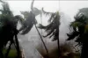 শক্তিশালী কালবৈশাখীতে কয়েকটি উপজেলার বাড়িঘর-ফসল তছনছ