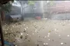 কয়েক মিনিটের শিলাবৃষ্টিতে দুই উপজেলার সর্বনাশ