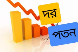 ৮ মে শেয়ারবাজারে দরপতনের শীর্ষে ‘মেঘনা কনডেন্সড মিল্ক’, তালিকায় আরও ৯ কোম্পানি