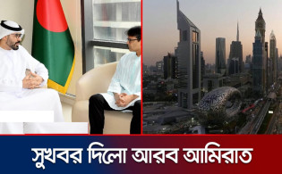 সুখবর প্রবাসীদের জন্য : নতুন ভিসা চালু করল আমিরাত