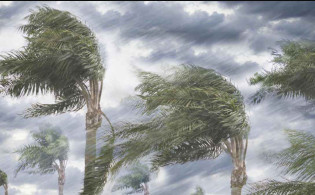 দুপুর ১টার মধ্যে ৮০ কিমি বেগে ঝড় হতে পারে যেসব জেলায়