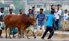 জেনেনিন কোরবানি কবুল হওয়ার শর্তগুলো