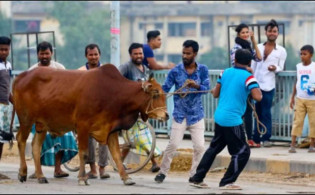 জেনেনিন কোরবানি কবুল হওয়ার শর্তগুলো