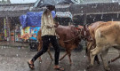 ঈদে কোথায় কতটা বৃষ্টির হওয়ার সম্ভাবনা