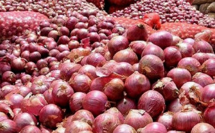 পেঁয়াজ নিয়ে বড় সুখবর