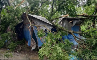 ২-৩ মিনিটের হঠাৎ টর্নেডোতে লন্ডভন্ড ৪ গ্রাম