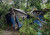 ২-৩ মিনিটের হঠাৎ টর্নেডোতে লন্ডভন্ড ৪ গ্রাম