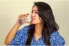 সকালে প্রথমে পানি না ব্রাশ? ৯০% মানুষ এই ভুলটি করে