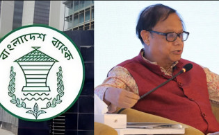দেশের ব্যাংক গুলো নিয়ে কঠিন সিদ্ধান্ত, ১২টি গ্রুপে ভাগ করার ঘোষণা দিলো : বাংলাদেশ ব্যাংক
