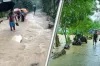 তিন নদীর বাঁধ ভাঙন, যোগাযোগ নেই কোথাও