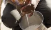গরুকে গান শোনালে কি দুধ বেশি দেয়