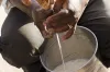 গরুকে গান শোনালে কি দুধ বেশি দেয়