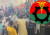 বিএনপি কাউন্সিলে ভোটের ব্যালট ছিনতাই, স্থগিত ফলাফল ঘোষণা