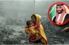 গাজা নিয়ে সৌদির বড় ঘোষণা