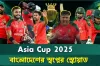এশিয়া কাপে বাংলাদেশের স্কোয়াড, দেখেনিন কোন কোন ক্রিকেটার বাদ পড়লো