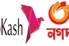 বিকাশ, নগদ, রকেটে টাকা পাঠাতে হাজারে খরচ মাত্র দেড় টাকা! অবিশ্বাস্য কিন্তু সত্যি