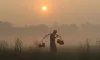 শীত কবে শুরু হবে, জানাল আবহাওয়া অফিস