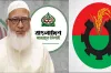 জামায়াত আমিরের আসনে ধানের শীষের প্রার্থী হলেন যিনি
