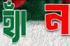 গণভোটে ‘না’ জিতলে কী হবে