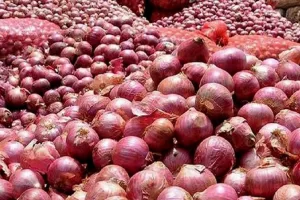একলাফে বেড়ে গেলো পেঁয়াজের দাম