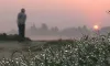 শীত আর কতদিন? শৈত্যপ্রবাহ নিয়ে যে খবর জানালো আবহাওয়া অফিস