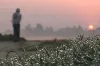 শীত আর কতদিন? শৈত্যপ্রবাহ নিয়ে যে খবর জানালো আবহাওয়া অফিস