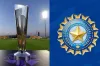 নিপাহ ভাইরাসের কারনে ভারতে বিশ্বকাপ আয়োজনে অনিশ্চয়তা, যা বলছে বিসিসিআই