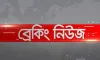 ব্রেকিং নিউজ: বিমান বিধ্বস্ত