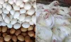 এবার পাল্টে গেলো ডিমের বাজার