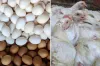 এবার পাল্টে গেলো ডিমের বাজার