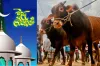 ঈদুল আজহার সম্ভাব্য তারিখ জানা গেল