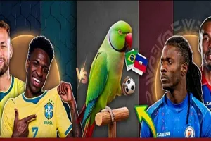 ব্রাজিল নাকি হাইতি? ম্যাচের আগেই ভাইরাল ‘জ্যোতিষী টিয়া’র ভবিষ্যদ্বাণী